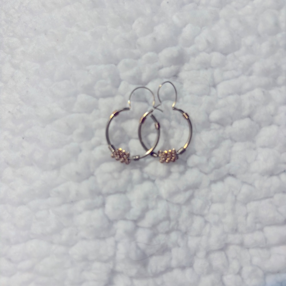 Sterling Silver earrings
